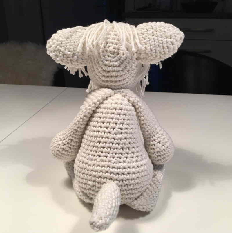 west-highland-white-terrier-back